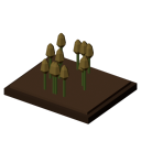 Sesame patch